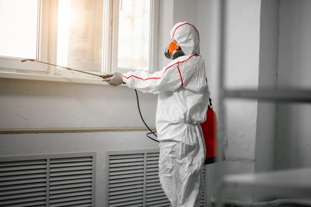 Professional mold remediation services in Wilton, CT